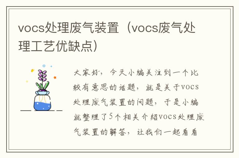 vocs处理废气装置（vocs废气处理工艺优缺点）